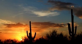 Arizona