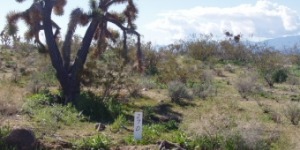 Commercial Land For Sale