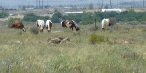 Pueblo Colorado