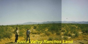 Yucca Valley Ranchos Land For Sale